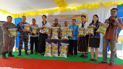 Peluncuran beras premium Molas Lembor oleh Kadin Manggarai Barat, Jumat (18/10/2024). (Istimewa)