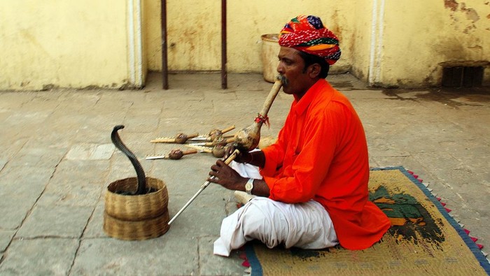 Tarian kalbelia atau tarian ular di India