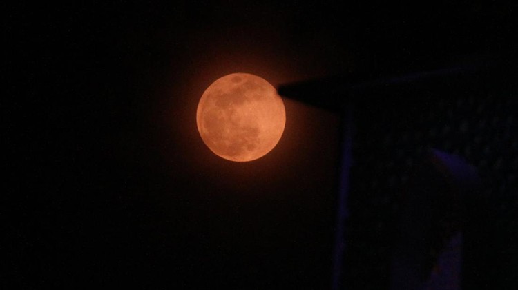 Fenomena bulan purnama pemburu atau hunter moon terlihat dari jalan Ijen, Malang, Jawa Timur, Kamis (17/10/2024). Fenomena bulan purnama pemburu tersebut dinilai paling terang dibanding bulan purnama pada umumnya karena jarak bulan dengan bumi lebih dekat yakni sejauh 357.367 kilometer atau 222.058 mil. ANTARA FOTO/Ari Bowo Sucipto/wpa.