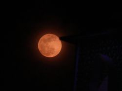 Terpesona Hunter Moon di Langit Tanah Air