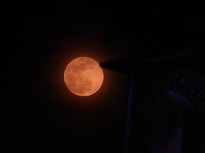 Umat Hindu Rayakan Purnama dan Tilem Tiap Bulan, Apa Bedanya?