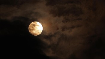 Fenomena Bulan Pemburu terlihat di Jatikalen, Nganjuk, Jawa Timur, Kamis (17/10/2024). Menurut Badan Meteorologi, Klimatologi dan Geofisika (BMKG) puncak Hunters Moon atau Bulan Pemburu terjadi pada Kamis (17/10) mulai 17.39 WIB dan terbenam pukul 05.03 WIB, dimana ukuran bulan akan lebih besar karena memiliki jarak terdekat dengan bumi dan dapat disaksikan di seluruh wilayah Indonesia serta tidak berpotensi menimbulkan dampak bahaya. ANTARA FOTO/Muhammad Mada.
