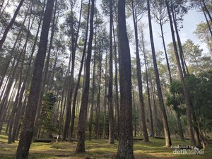 Menelusuri Sejarah Wisata Batu Kuda Bandung