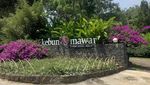 Sejenak Melepaskan Penat di Kebun Mawar Garut yang Romantis