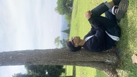 kebun mawar