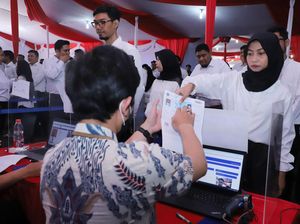 Timeline CPNS 2024 Semua Instansi, Sekarang Sudah Sampai Tahap Apa?