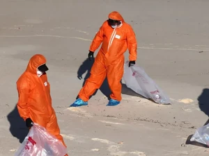 8 Pantai Sydney Diteror Benda Asing Bola Hitam