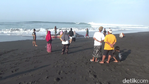 Hiu Tutul ditemukan Mati, terdampar di Pantai Lamongan