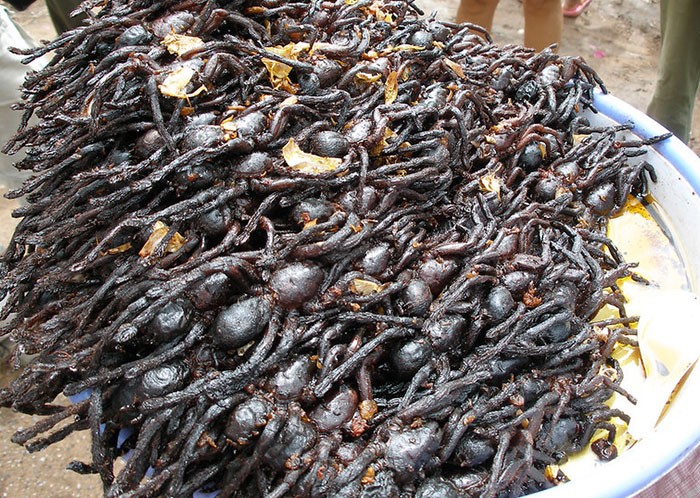Ini 10 Negara dengan Makanan Paling Tidak Enak Menurut Turis Ini 10 Negara dengan Makanan Paling Tidak Enak Menurut Turis