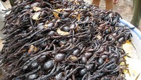 Laba-laba goreng di Kamboja dianggap sebagai menu mengerikan. Banyak turis mancanegara membagikan pengalaman buruk menikmati menu ini di forum online Reddit. Foto: Pool/Site