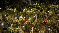 Melalui program electrifying agriculture yang digagas PT PLN (Persero) sejak 2021, pemanfaatan energi listrik digunakan untuk meningkatkan produktivitas sektor pertanian.