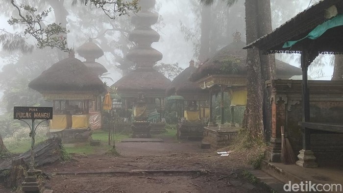 Jalur pendakian ke Pura Pucak Mangu di Gunung Catur, Badung, Bali, Senin (9/10/2024). (Aryo Mahendro/detikBali)