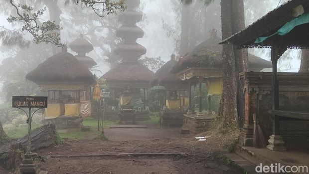 Jalur pendakian ke Pura Pucak Mangu di Gunung Catur, Badung, Bali, Senin (9/10/2024). (Aryo Mahendro/detikBali)