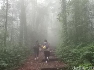 Jalur Pendakian Pura Pucak Mangu Ditutup 28 Hari, Ada Upacara Besar