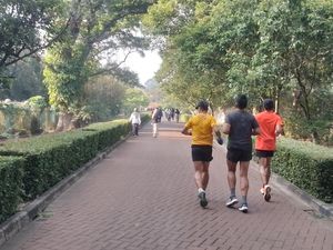 Jogging Beda dari Biasanya di Ragunan, Diiringi Suara Hewan-hewan