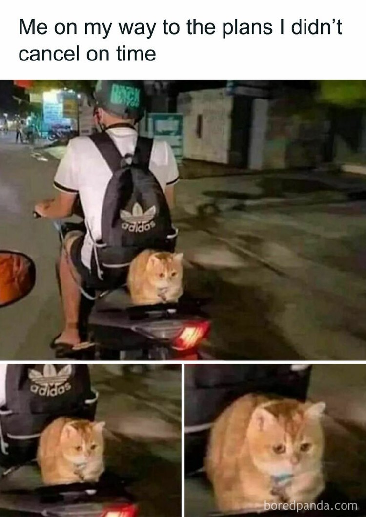 Meme berikut ini bakal bikin kaum introvert merasa terpanggil. Mana yang paling iya lagi buat kamu?
