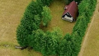 Rumah idaman untuk orang yang gampang lelah basa-basi bertetangga. Foto: introvertmojo via Bored Panda