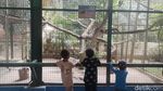 Menghabiskan Akhir Pekan di Ragunan, Datang Sejak Pagi Seru Banget