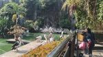 Menghabiskan Akhir Pekan di Ragunan, Datang Sejak Pagi Seru Banget