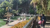 Banyak dari pengunjung datang sejak pagi sebelum jam operasional resmi kebun binatang itu dibuka. Mereka di antaranya adalah yang hendak olahraga pagi. Jika merujuk pada laman resmi Taman Margasatwa Ragunan jam operasional baru dibuka pukul 07.00 WIB.