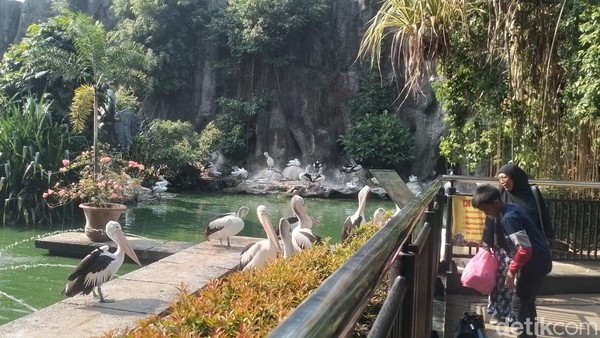 Menghabiskan Akhir Pekan di Ragunan, Datang Sejak Pagi Seru Banget