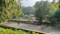 Selain cuaca yang sejuk, jogging di Taman Margasatwa Ragunan ini bisa merasakan pengalaman berbeda. Pengalaman itu yakni olahraga ditemani dengan suara-suara satwa. Melihat banyaknya masyarakat yang berolahraga, pihak Taman Margasatwa Ragunan pun memperbarui fasilitas di pinggir danau sebagai area jogging track.