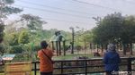 Menghabiskan Akhir Pekan di Ragunan, Datang Sejak Pagi Seru Banget