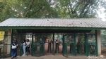 Menghabiskan Akhir Pekan di Ragunan, Datang Sejak Pagi Seru Banget