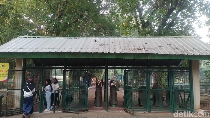 Taman Margasatwa Ragunan tetap menjadi andalan keluarga untuk mengisi libur akhir pekan. Bukan hanya melihat satwa, tapi pengunjung juga bisa berolahraga sejak pagi banget.