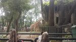 Menghabiskan Akhir Pekan di Ragunan, Datang Sejak Pagi Seru Banget