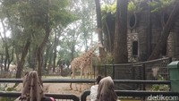 Pengunjung yang datang lebih pagi biasanya untuk menghindari kemacetan jalanan. Meski pas sampai, pintu masuk belum dibuka dan harus menunggu.