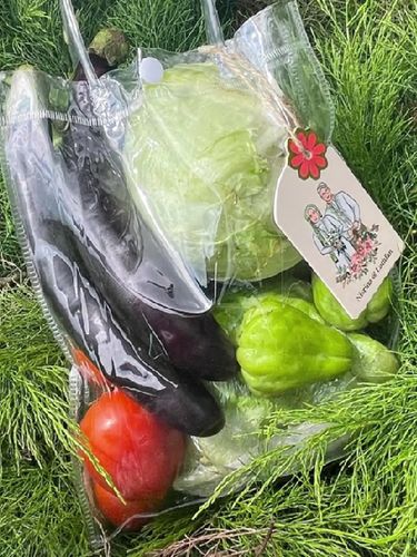 Pengantin ini menyediakan aneka sayuran segar yang bebas dibawa pulang oleh tamu undangan, bikin emak-emak auto full senyum