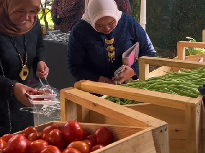 Pengantin ini menyediakan aneka sayuran segar yang bebas dibawa pulang oleh tamu undangan, bikin emak-emak auto full senyum
