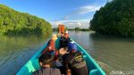 Potret Desa Mayangan yang Melawan Ditelan Laut Jawa