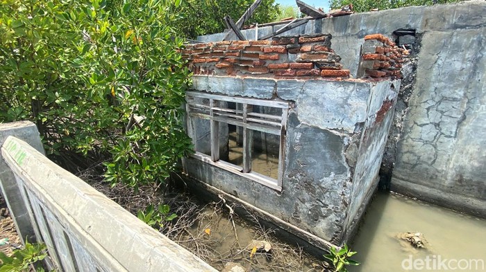 Potret abrasi di Desa Mayangan, Legonkulon, Subang Potret abrasi di Desa Mayangan, Legonkulon, Subang