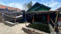 Mangrove juga memberikan dampak ekonomi bagi warga. Banyak warga membudidayakan mangrove dan menjualnya seharga Rp3 ribu/buahnya.