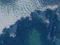Daratan yang Ditelan Laut Jawa Kembali Muncul di Subang
