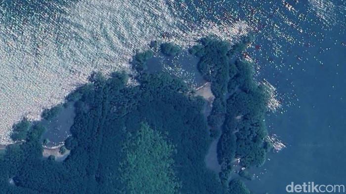 Pulau Burung yang kembali muncul di Desa Mayangan, Subang
