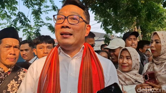 Ridwan Kamil (Belia/detikcom).