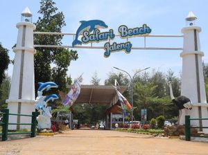 Pesona Safari Beach Jateng: Lokasi, Harga Tiket, Jam Buka, dan Daya Tarik