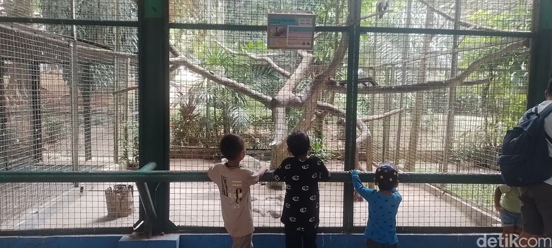 Taman Margasatwa Ragunan
