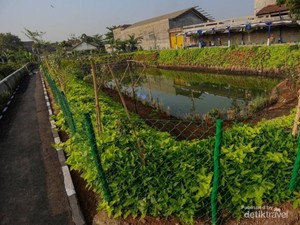 Kolam Retensi Derwati, Solusi Asri Pencegah Banjir di Bandung