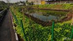 Kolam Retensi Derwati, Solusi Asri Pencegah Banjir di Bandung