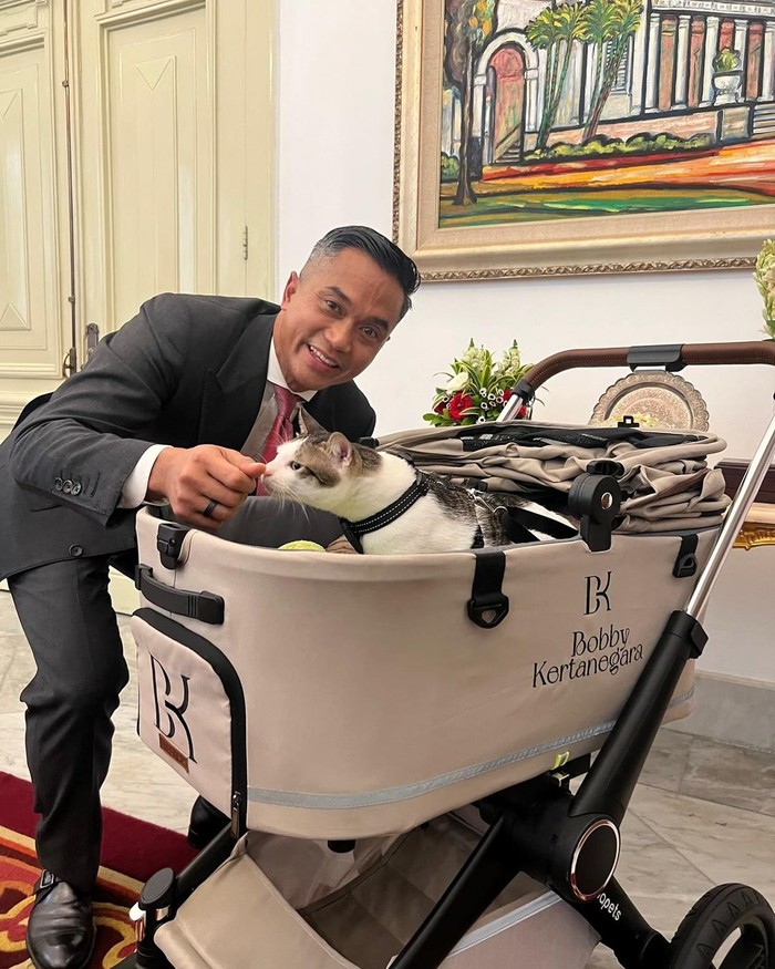 Kucing pribadi Presiden Prabowo Subianto, Bobby Kertanegara, ikut ke Istana Kepresidenan di Jakarta. Bobby di Istana Kepresidenan menggunakan stroller khusus.