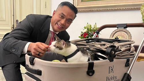 Kucing pribadi Presiden Prabowo Subianto, Bobby Kertanegara, ikut ke Istana Kepresidenan di Jakarta. Bobby di Istana Kepresidenan menggunakan stroller khusus.