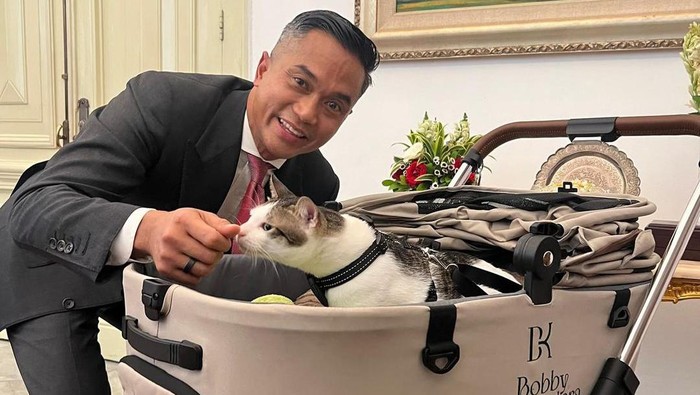 Ada pemandangan menarik yang tersaji, saat pelantikan Prabowo Subianto dan Gibran Rakabuming Raka sebagai presiden dan wakil presiden terpilih periode 2024-2029 pagi tadi. Lantaran, kucing pribadi Presiden Prabowo terlihat berada di istana menggunakan pet stroller.