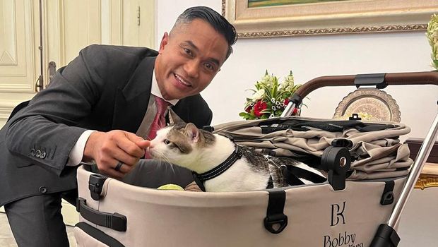 Ada pemandangan menarik yang tersaji, saat pelantikan Prabowo Subianto dan Gibran Rakabuming Raka sebagai presiden dan wakil presiden terpilih periode 2024-2029 pagi tadi. Lantaran, kucing pribadi Presiden Prabowo terlihat berada di istana menggunakan pet stroller.
