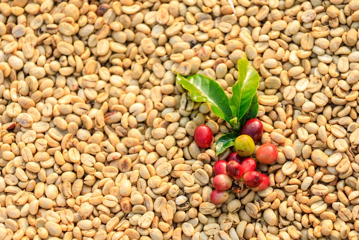 Kopi