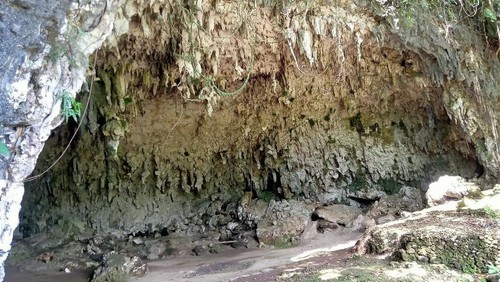 Objek wisata Liang Bua di Desa Liang Bua, Kecamatan Rahong Utara, Manggarai, NTT. (Dok. Instagram @liang_bua_official)