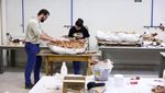 Penampakan Fosil Dinosaurus Berusia 237 Juta Tahun di Brasil